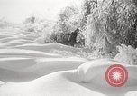 Image of nye of pheasants Buffalo New York USA, 1929, second 47 stock footage video 65675063700
