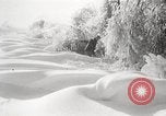 Image of nye of pheasants Buffalo New York USA, 1929, second 48 stock footage video 65675063700