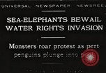 Image of Sea-elephants Copenhagen Denmark, 1929, second 1 stock footage video 65675063703