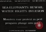 Image of Sea-elephants Copenhagen Denmark, 1929, second 3 stock footage video 65675063703