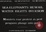 Image of Sea-elephants Copenhagen Denmark, 1929, second 4 stock footage video 65675063703