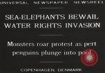 Image of Sea-elephants Copenhagen Denmark, 1929, second 5 stock footage video 65675063703
