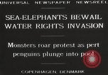 Image of Sea-elephants Copenhagen Denmark, 1929, second 6 stock footage video 65675063703