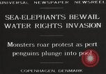 Image of Sea-elephants Copenhagen Denmark, 1929, second 7 stock footage video 65675063703