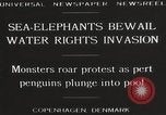 Image of Sea-elephants Copenhagen Denmark, 1929, second 8 stock footage video 65675063703