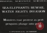 Image of Sea-elephants Copenhagen Denmark, 1929, second 9 stock footage video 65675063703