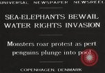 Image of Sea-elephants Copenhagen Denmark, 1929, second 10 stock footage video 65675063703