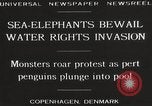 Image of Sea-elephants Copenhagen Denmark, 1929, second 11 stock footage video 65675063703