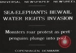 Image of Sea-elephants Copenhagen Denmark, 1929, second 12 stock footage video 65675063703