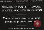 Image of Sea-elephants Copenhagen Denmark, 1929, second 13 stock footage video 65675063703