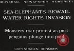 Image of Sea-elephants Copenhagen Denmark, 1929, second 14 stock footage video 65675063703