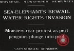 Image of Sea-elephants Copenhagen Denmark, 1929, second 15 stock footage video 65675063703