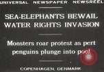 Image of Sea-elephants Copenhagen Denmark, 1929, second 16 stock footage video 65675063703