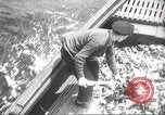 Standbild Ministerium für Justiz United States USA, 1934, aus Sekunde 39 historischem Filmmaterial Videoclip 65675063713