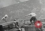 Standbild Forest Fire California United States USA, 1934, aus Sekunde 12 historischem Filmmaterial Videoclip 65675063715