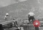 Standbild Forest Fire California United States USA, 1934, aus Sekunde 13 historischem Filmmaterial Videoclip 65675063715