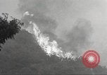 Standbild Forest Fire California United States USA, 1934, aus Sekunde 15 historischem Filmmaterial Videoclip 65675063715