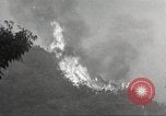 Standbild Forest Fire California United States USA, 1934, aus Sekunde 16 historischem Filmmaterial Videoclip 65675063715