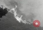 Standbild Forest Fire California United States USA, 1934, aus Sekunde 17 historischem Filmmaterial Videoclip 65675063715