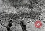 Standbild Forest Fire California United States USA, 1934, aus Sekunde 29 historischem Filmmaterial Videoclip 65675063715