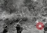 Standbild Forest Fire California United States USA, 1934, aus Sekunde 30 historischem Filmmaterial Videoclip 65675063715
