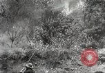 Standbild Forest Fire California United States USA, 1934, aus Sekunde 31 historischem Filmmaterial Videoclip 65675063715