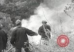 Standbild Forest Fire California United States USA, 1934, aus Sekunde 32 historischem Filmmaterial Videoclip 65675063715