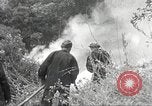 Standbild Forest Fire California United States USA, 1934, aus Sekunde 33 historischem Filmmaterial Videoclip 65675063715