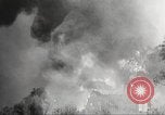 Standbild Forest Fire California United States USA, 1934, aus Sekunde 36 historischem Filmmaterial Videoclip 65675063715