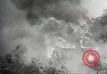 Standbild Forest Fire California United States USA, 1934, aus Sekunde 37 historischem Filmmaterial Videoclip 65675063715