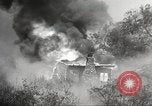 Standbild Forest Fire California United States USA, 1934, aus Sekunde 39 historischem Filmmaterial Videoclip 65675063715