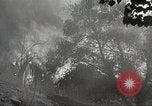 Standbild Forest Fire California United States USA, 1934, aus Sekunde 43 historischem Filmmaterial Videoclip 65675063715