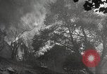 Standbild Forest Fire California United States USA, 1934, aus Sekunde 44 historischem Filmmaterial Videoclip 65675063715