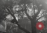 Standbild Forest Fire California United States USA, 1934, aus Sekunde 48 historischem Filmmaterial Videoclip 65675063715