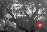 Standbild Forest Fire California United States USA, 1934, aus Sekunde 51 historischem Filmmaterial Videoclip 65675063715