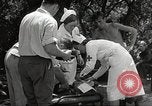 Standbild Forest Fire California United States USA, 1934, aus Sekunde 52 historischem Filmmaterial Videoclip 65675063715