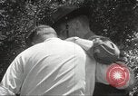 Standbild Forest Fire California United States USA, 1934, aus Sekunde 56 historischem Filmmaterial Videoclip 65675063715