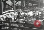 Image la sécheresse Kansas City Missouri USA, 1934, de la seconde 3 séquences d'archives historiques vidéo 65675063718
