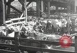 Image la sécheresse Kansas City Missouri USA, 1934, de la seconde 4 séquences d'archives historiques vidéo 65675063718
