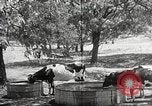 Image la sécheresse Kansas City Missouri USA, 1934, de la seconde 28 séquences d'archives historiques vidéo 65675063718