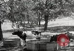 Image la sécheresse Kansas City Missouri USA, 1934, de la seconde 30 séquences d'archives historiques vidéo 65675063718
