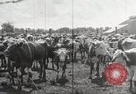 Image la sécheresse Kansas City Missouri USA, 1934, de la seconde 31 séquences d'archives historiques vidéo 65675063718