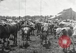 Image la sécheresse Kansas City Missouri USA, 1934, de la seconde 33 séquences d'archives historiques vidéo 65675063718
