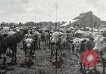 Image la sécheresse Kansas City Missouri USA, 1934, de la seconde 34 séquences d'archives historiques vidéo 65675063718