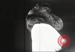 Immagine di Fur fashion show New York United States USA, 1934, secondo 20 filmato di repertorio 65675063723