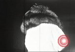 Immagine di Fur fashion show New York United States USA, 1934, secondo 21 filmato di repertorio 65675063723