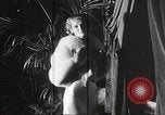 Immagine di Fur fashion show New York United States USA, 1934, secondo 40 filmato di repertorio 65675063723