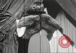 Immagine di Fur fashion show New York United States USA, 1934, secondo 47 filmato di repertorio 65675063723