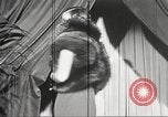 Immagine di Fur fashion show New York United States USA, 1934, secondo 48 filmato di repertorio 65675063723