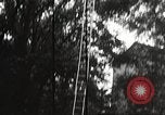 Immagine di Glen park parco divertimenti 1930s Williamsville New York USA, 1934, secondo 27 filmato di repertorio 65675063725